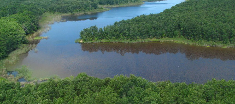 İğneada Gezi Rehberi - Hamam Gölü Longozu