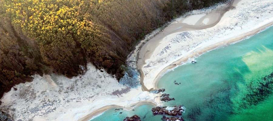 İğneada Gezi Rehberi - Longoz