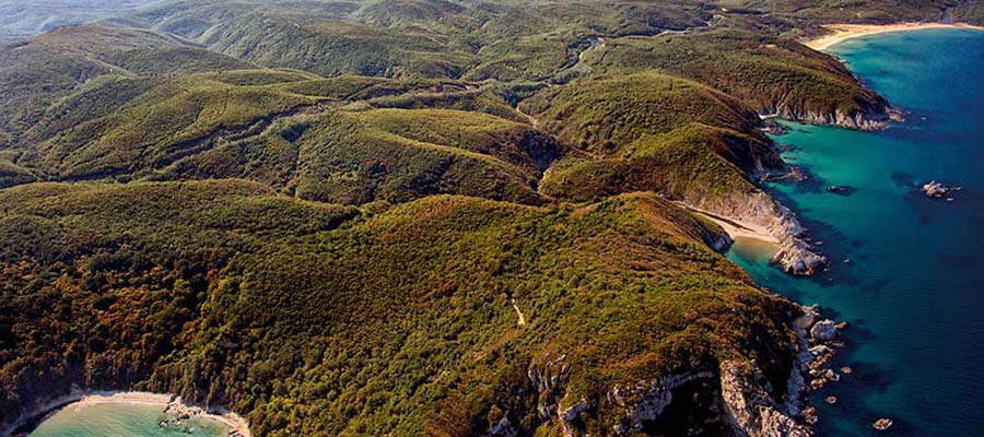 İğneada Gezi Rehberi - İğneada Ormanları