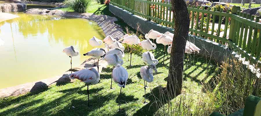 Anadolu'nun İncisi Eskişehir'in Gezi Rehberi - Hayvanat Bahçesi