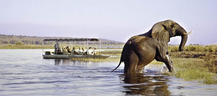Afrika'da Safari Yerleri - Chobe Milli Parkı