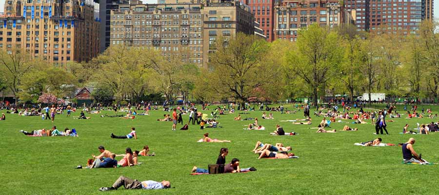 Dünyanın En Güzel Parkları - Central Park - Genel