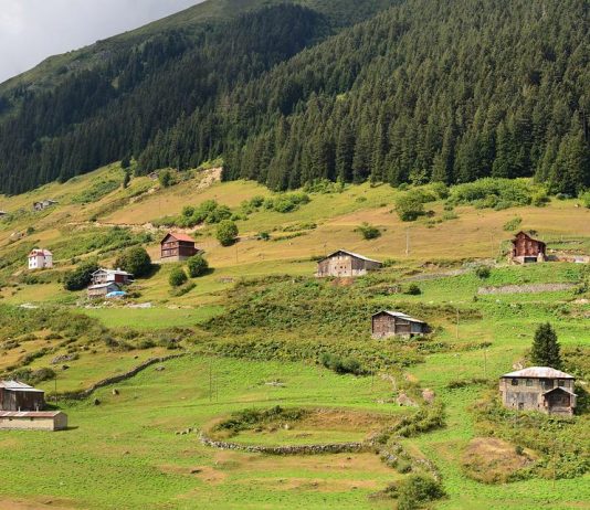 Doğasıyla Büyüleyen En Popüler Karadeniz Yaylaları karadeniz-yayla