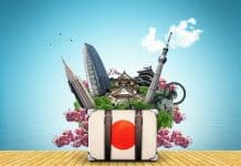 Japonya Turu Valiz