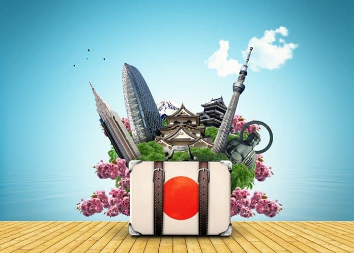 Japonya Turu Valiz