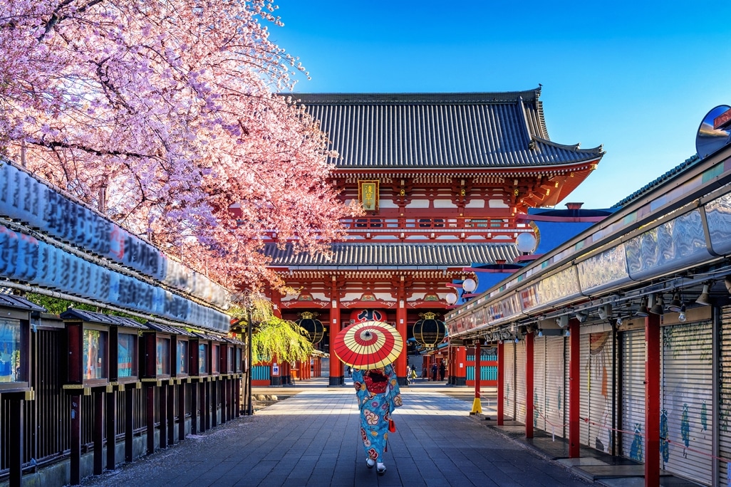 Japonya